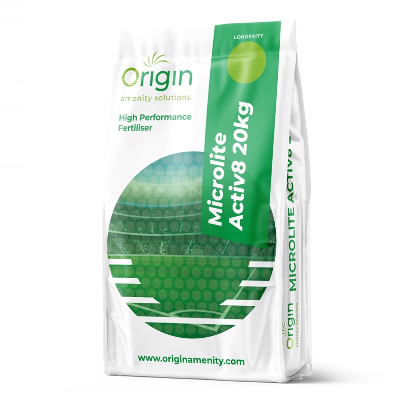 エアプランツ　mic CATEGORY エアプランツ（チランジア） 普及種 | 常葉植物園